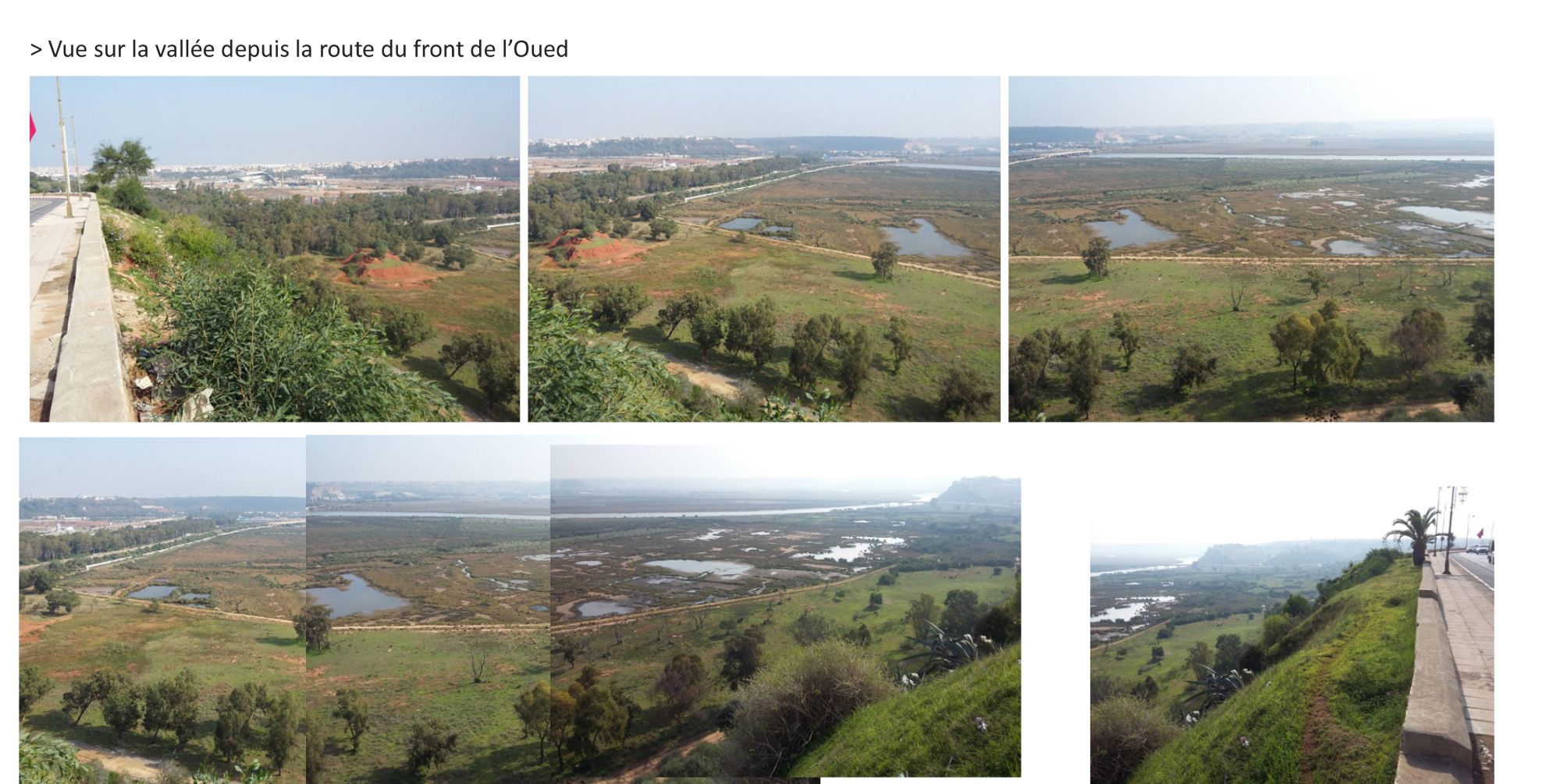 01. MNA-PAS_Analyse site-4