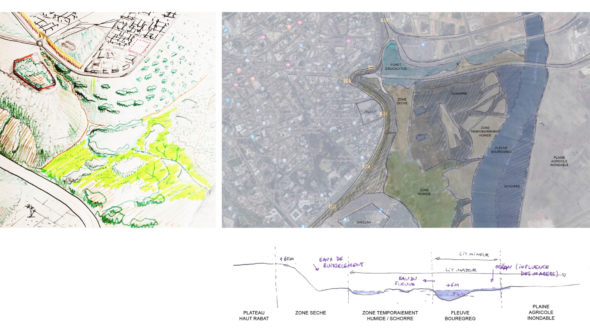 02. MNA-PAS_Analyse site-5