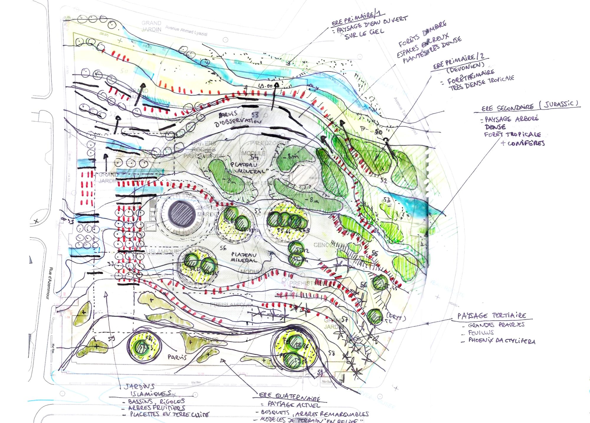 05. MNAST_Plan masse