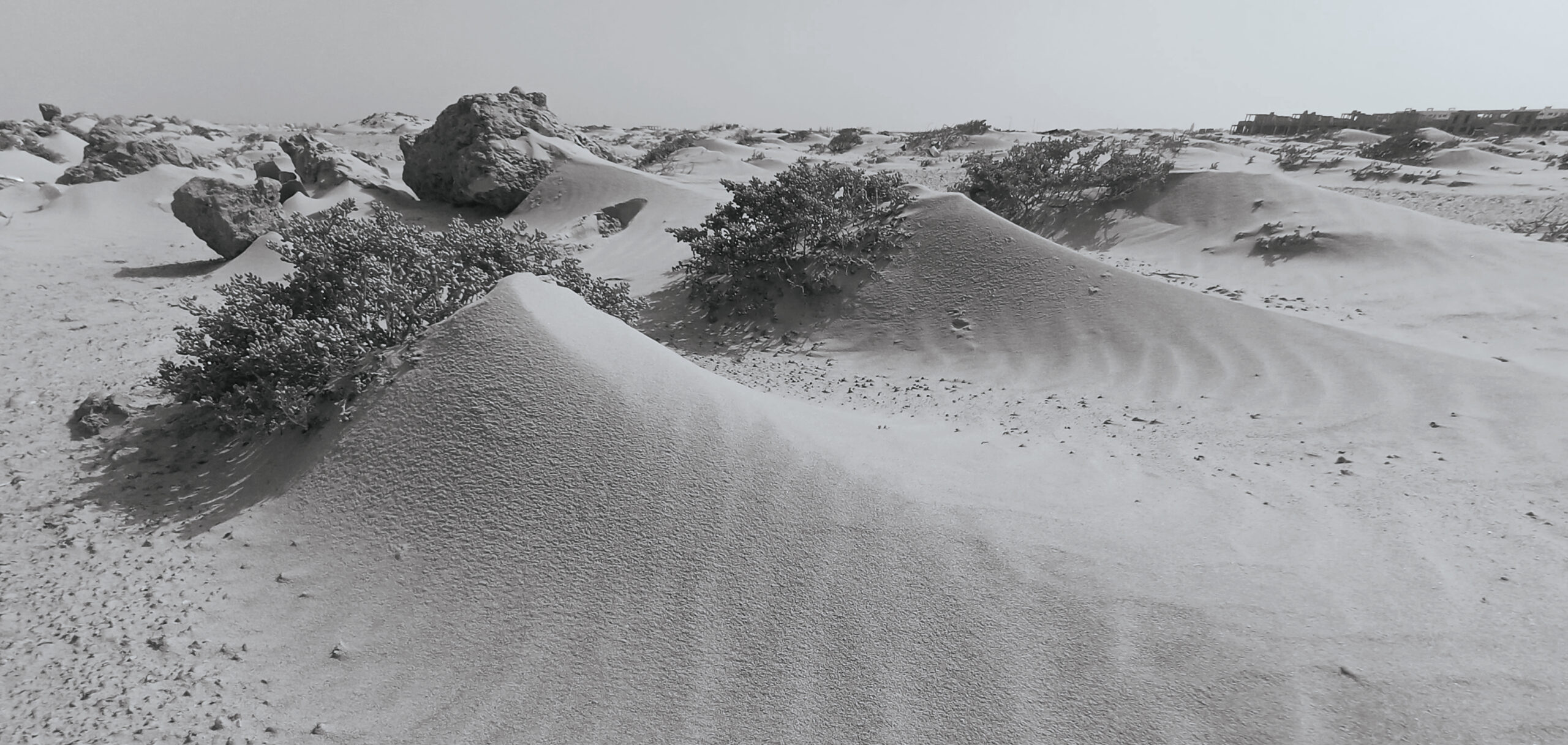 Documents CHUMVI Dakhla bon format