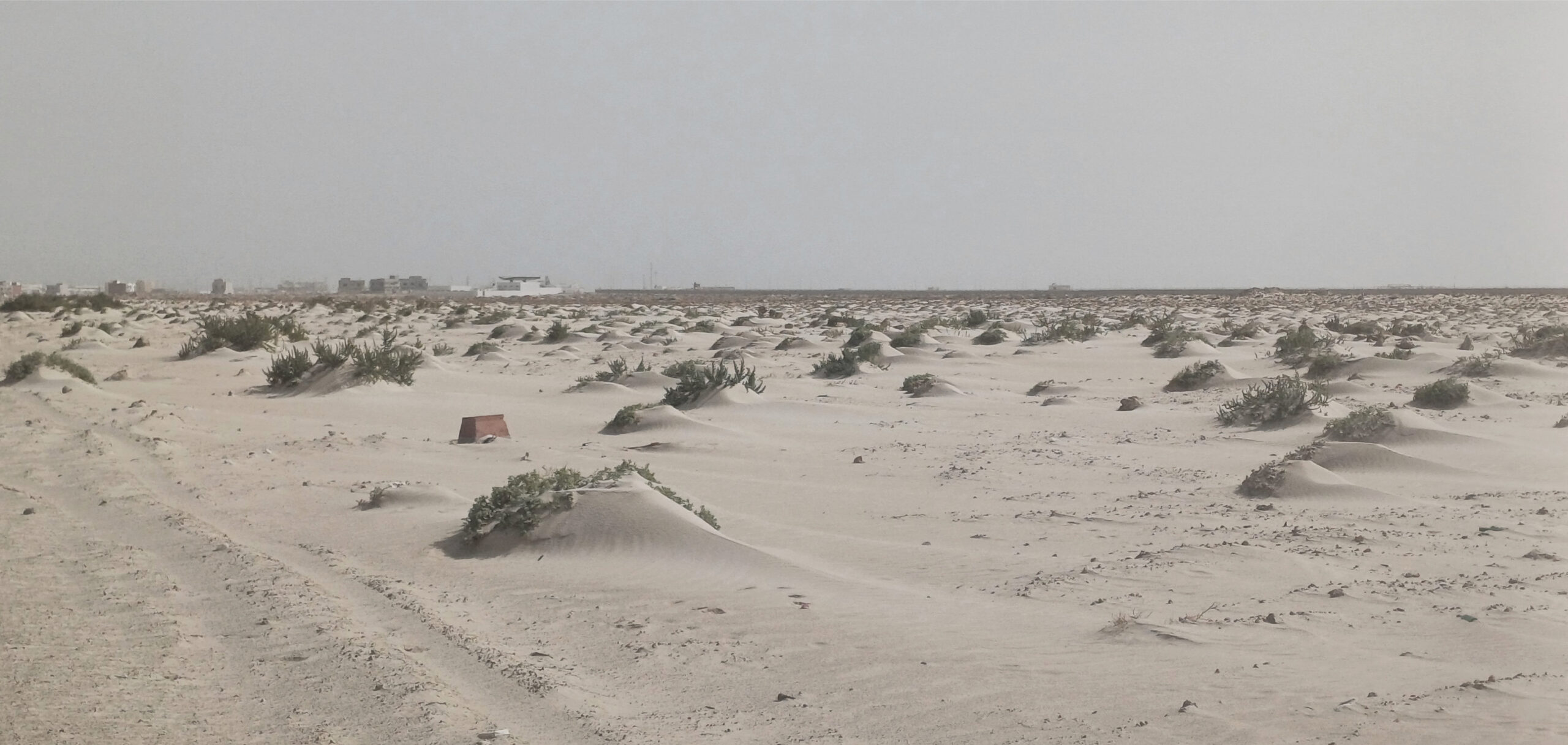 Documents CHUMVI Dakhla bon format2