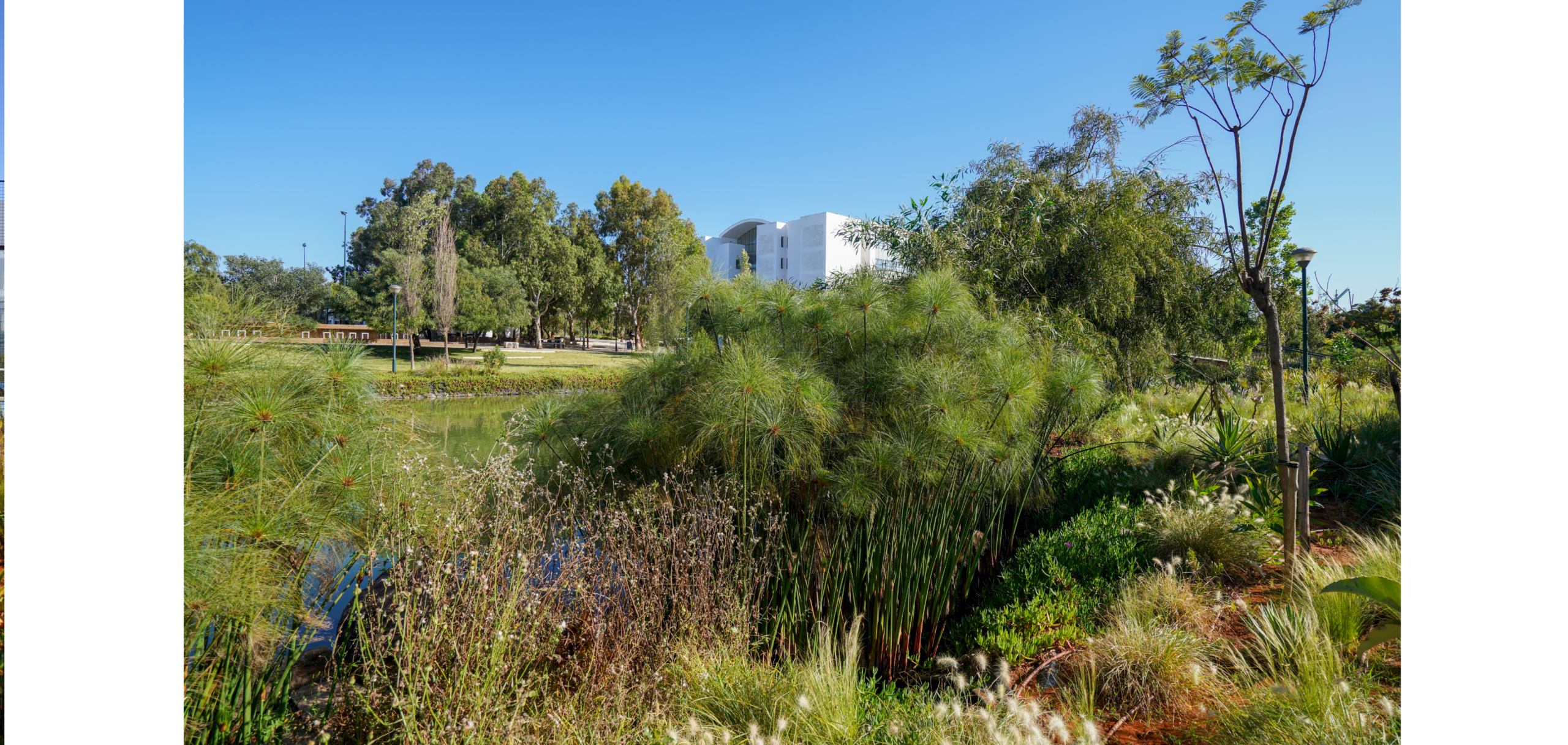 CAMPUS31