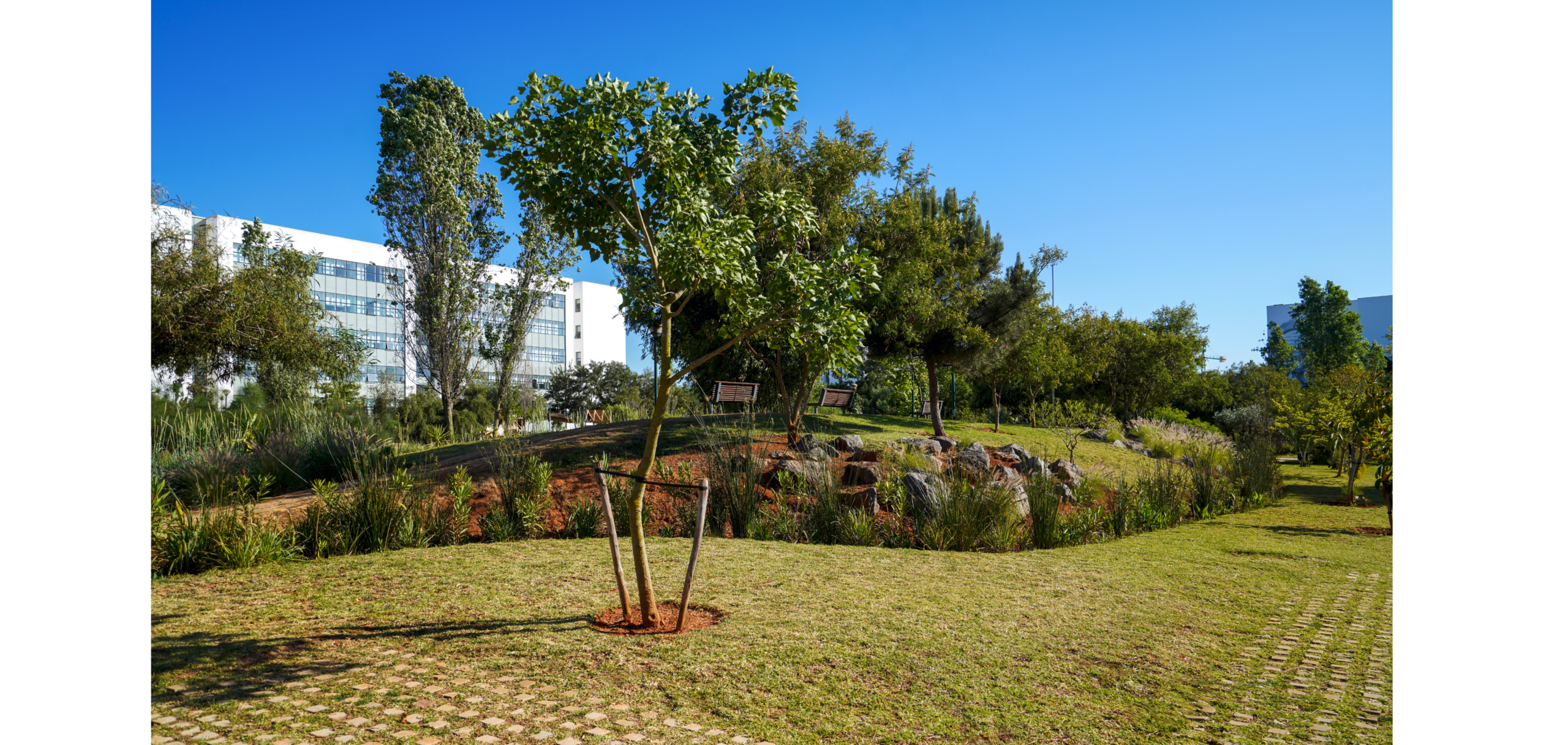 CAMPUS32