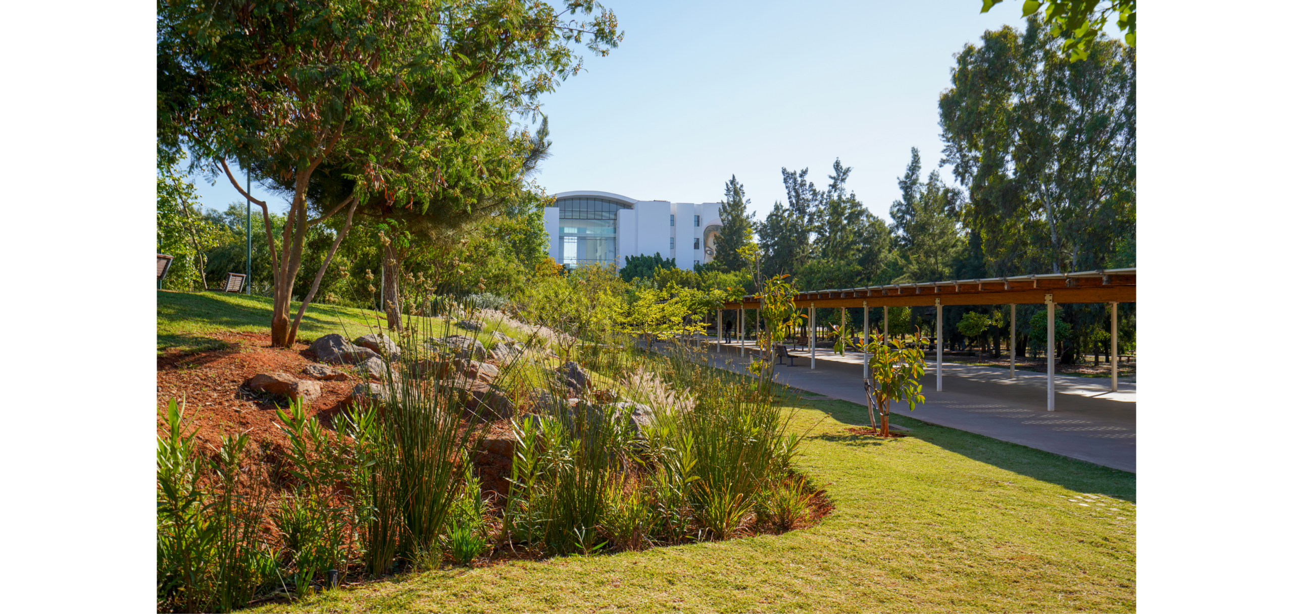 CAMPUS_V3.33