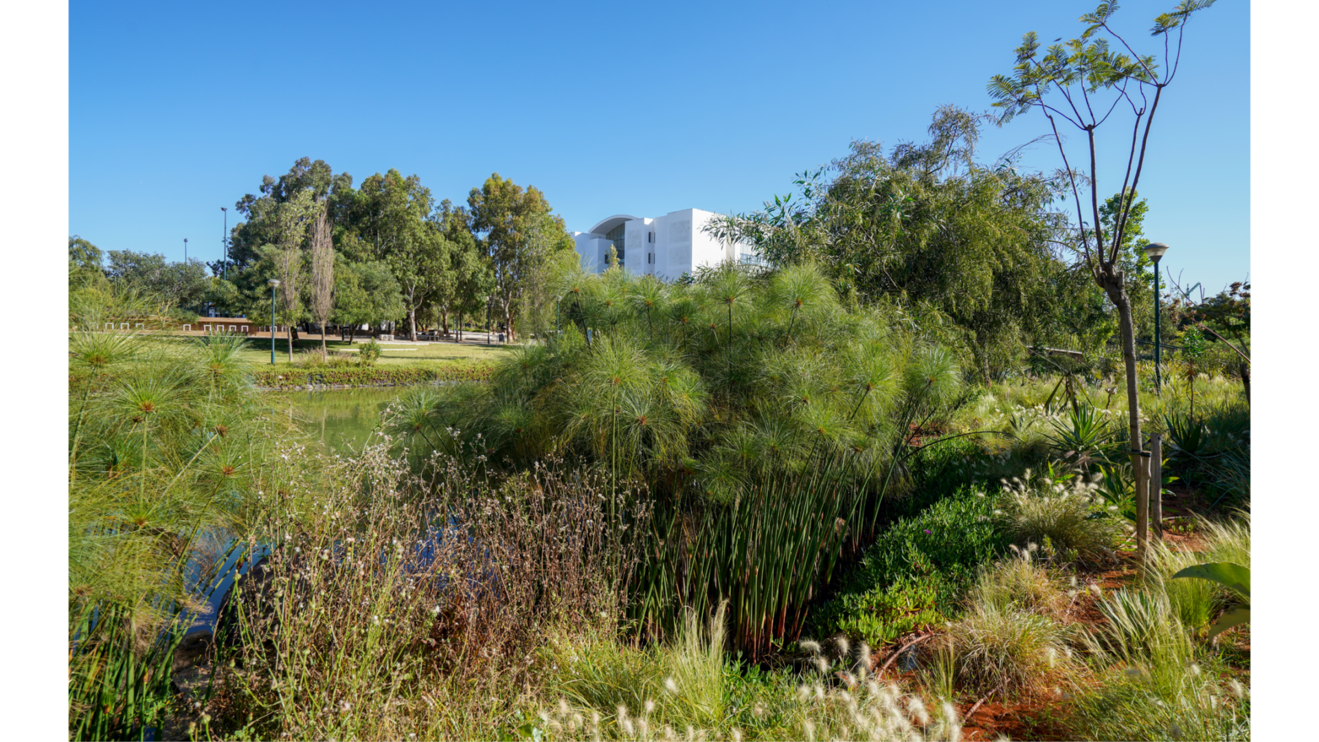 CAMPUS_V3.31